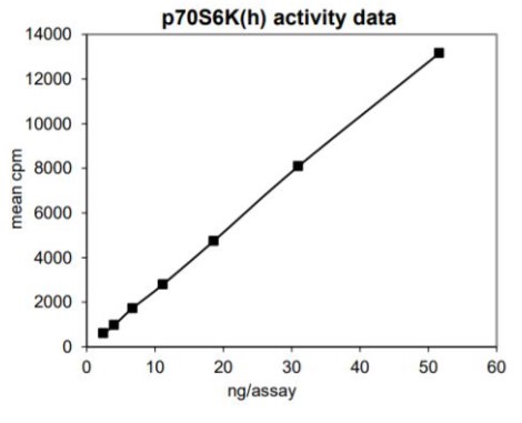 Activity Data (RPS6KB1-177H).jpg